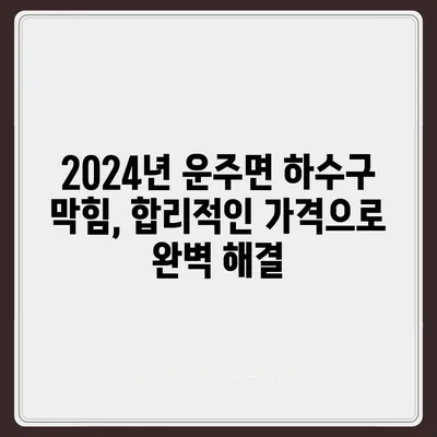 전라북도 완주군 운주면 하수구막힘 | 가격 | 비용 | 기름제거 | 싱크대 | 변기 | 세면대 | 역류 | 냄새차단 | 2024 후기