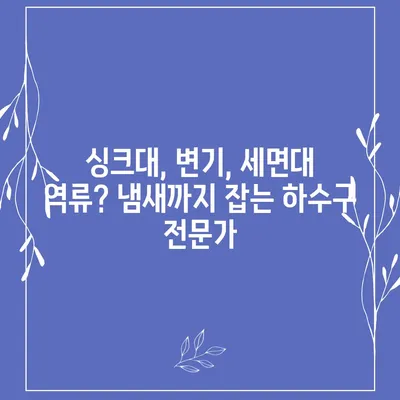 경기도 양평군 청운면 하수구막힘 | 가격 | 비용 | 기름제거 | 싱크대 | 변기 | 세면대 | 역류 | 냄새차단 | 2024 후기