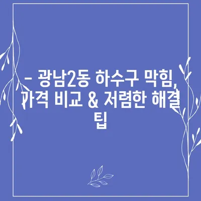 경기도 광주시 광남2동 하수구막힘 | 가격 | 비용 | 기름제거 | 싱크대 | 변기 | 세면대 | 역류 | 냄새차단 | 2024 후기