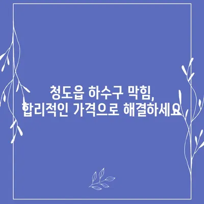 경상북도 청도군 청도읍 하수구막힘 | 가격 | 비용 | 기름제거 | 싱크대 | 변기 | 세면대 | 역류 | 냄새차단 | 2024 후기