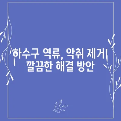 강원도 횡성군 공근면 하수구막힘 | 가격 | 비용 | 기름제거 | 싱크대 | 변기 | 세면대 | 역류 | 냄새차단 | 2024 후기