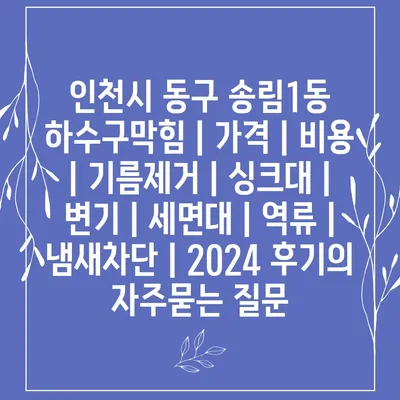 인천시 동구 송림1동 하수구막힘 | 가격 | 비용 | 기름제거 | 싱크대 | 변기 | 세면대 | 역류 | 냄새차단 | 2024 후기