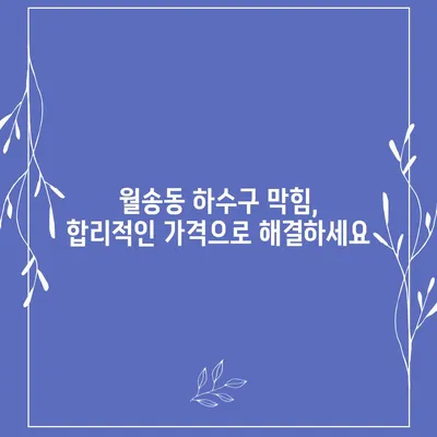 충청남도 공주시 월송동 하수구막힘 | 가격 | 비용 | 기름제거 | 싱크대 | 변기 | 세면대 | 역류 | 냄새차단 | 2024 후기