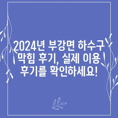 세종시 세종특별자치시 부강면 하수구막힘 | 가격 | 비용 | 기름제거 | 싱크대 | 변기 | 세면대 | 역류 | 냄새차단 | 2024 후기