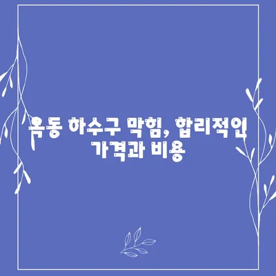 울산시 남구 옥동 하수구막힘 | 가격 | 비용 | 기름제거 | 싱크대 | 변기 | 세면대 | 역류 | 냄새차단 | 2024 후기