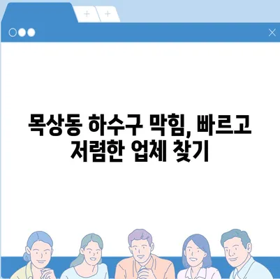 대전시 대덕구 목상동 하수구막힘 | 가격 | 비용 | 기름제거 | 싱크대 | 변기 | 세면대 | 역류 | 냄새차단 | 2024 후기