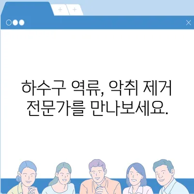 제주도 서귀포시 중문동 하수구막힘 | 가격 | 비용 | 기름제거 | 싱크대 | 변기 | 세면대 | 역류 | 냄새차단 | 2024 후기