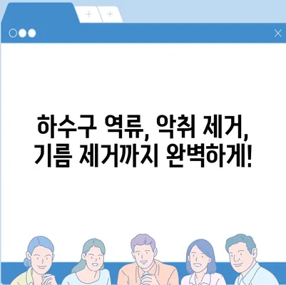 충청북도 충주시 금가면 하수구막힘 | 가격 | 비용 | 기름제거 | 싱크대 | 변기 | 세면대 | 역류 | 냄새차단 | 2024 후기