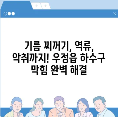 경기도 화성시 우정읍 하수구막힘 | 가격 | 비용 | 기름제거 | 싱크대 | 변기 | 세면대 | 역류 | 냄새차단 | 2024 후기