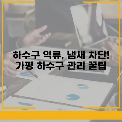 경기도 가평군 가평읍 하수구막힘 | 가격 | 비용 | 기름제거 | 싱크대 | 변기 | 세면대 | 역류 | 냄새차단 | 2024 후기