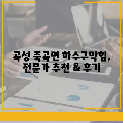 전라남도 곡성군 죽곡면 하수구막힘 | 가격 | 비용 | 기름제거 | 싱크대 | 변기 | 세면대 | 역류 | 냄새차단 | 2024 후기