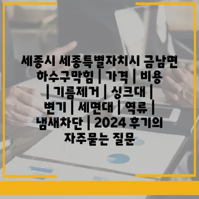 세종시 세종특별자치시 금남면 하수구막힘 | 가격 | 비용 | 기름제거 | 싱크대 | 변기 | 세면대 | 역류 | 냄새차단 | 2024 후기