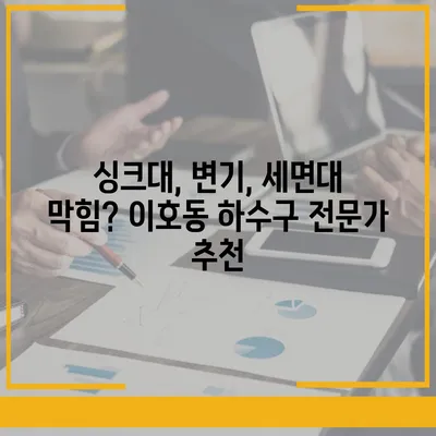 제주도 제주시 이호동 하수구막힘 | 가격 | 비용 | 기름제거 | 싱크대 | 변기 | 세면대 | 역류 | 냄새차단 | 2024 후기