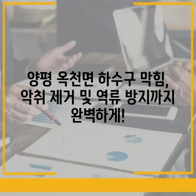 경기도 양평군 옥천면 하수구막힘 | 가격 | 비용 | 기름제거 | 싱크대 | 변기 | 세면대 | 역류 | 냄새차단 | 2024 후기