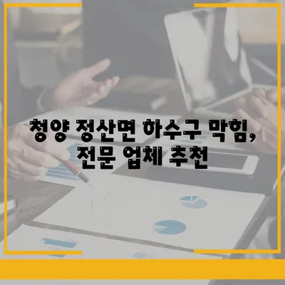 충청남도 청양군 정산면 하수구막힘 | 가격 | 비용 | 기름제거 | 싱크대 | 변기 | 세면대 | 역류 | 냄새차단 | 2024 후기