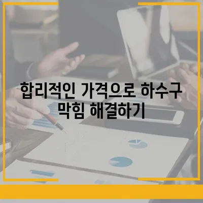 제주도 서귀포시 남원읍 하수구막힘 | 가격 | 비용 | 기름제거 | 싱크대 | 변기 | 세면대 | 역류 | 냄새차단 | 2024 후기