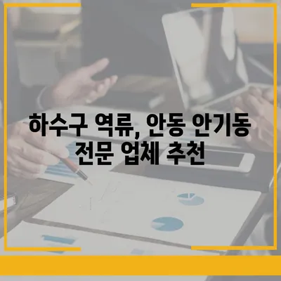 경상북도 안동시 안기동 하수구막힘 | 가격 | 비용 | 기름제거 | 싱크대 | 변기 | 세면대 | 역류 | 냄새차단 | 2024 후기