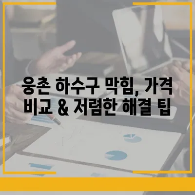 울산시 울주군 웅촌면 하수구막힘 | 가격 | 비용 | 기름제거 | 싱크대 | 변기 | 세면대 | 역류 | 냄새차단 | 2024 후기