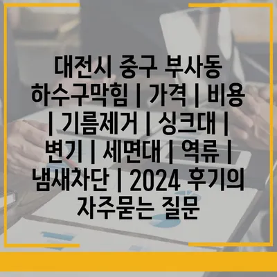 대전시 중구 부사동 하수구막힘 | 가격 | 비용 | 기름제거 | 싱크대 | 변기 | 세면대 | 역류 | 냄새차단 | 2024 후기