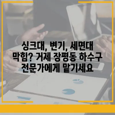 경상남도 거제시 장평동 하수구막힘 | 가격 | 비용 | 기름제거 | 싱크대 | 변기 | 세면대 | 역류 | 냄새차단 | 2024 후기