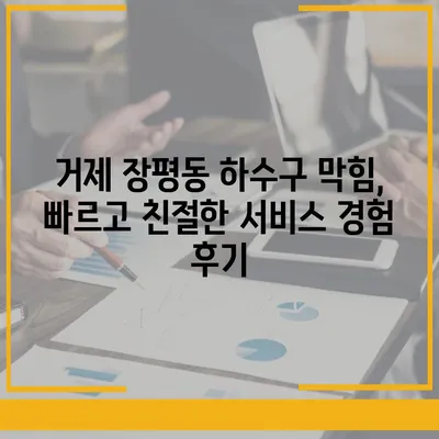 경상남도 거제시 장평동 하수구막힘 | 가격 | 비용 | 기름제거 | 싱크대 | 변기 | 세면대 | 역류 | 냄새차단 | 2024 후기