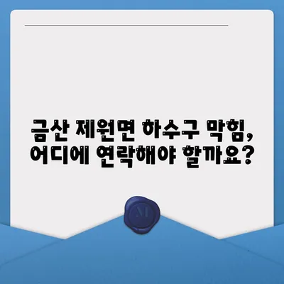 충청남도 금산군 제원면 하수구막힘 | 가격 | 비용 | 기름제거 | 싱크대 | 변기 | 세면대 | 역류 | 냄새차단 | 2024 후기