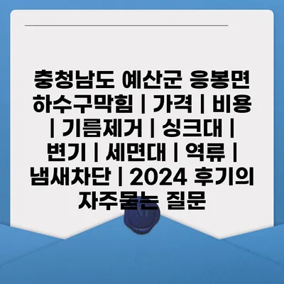 충청남도 예산군 응봉면 하수구막힘 | 가격 | 비용 | 기름제거 | 싱크대 | 변기 | 세면대 | 역류 | 냄새차단 | 2024 후기