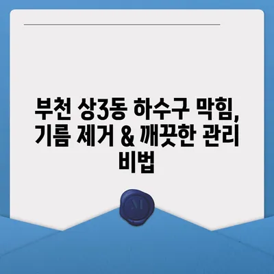 경기도 부천시 상3동 하수구막힘 | 가격 | 비용 | 기름제거 | 싱크대 | 변기 | 세면대 | 역류 | 냄새차단 | 2024 후기