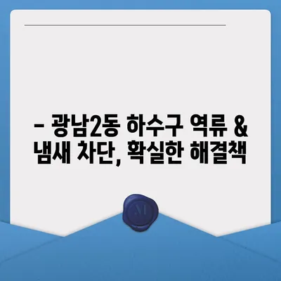 경기도 광주시 광남2동 하수구막힘 | 가격 | 비용 | 기름제거 | 싱크대 | 변기 | 세면대 | 역류 | 냄새차단 | 2024 후기