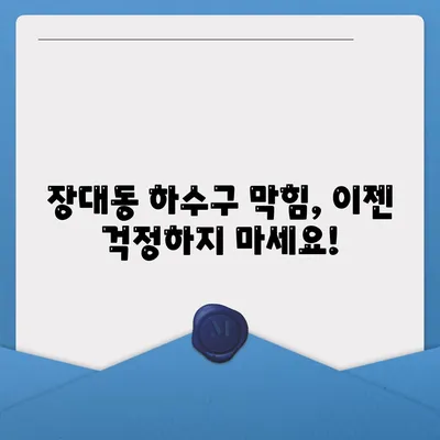 대전시 유성구 장대동 하수구막힘 | 가격 | 비용 | 기름제거 | 싱크대 | 변기 | 세면대 | 역류 | 냄새차단 | 2024 후기