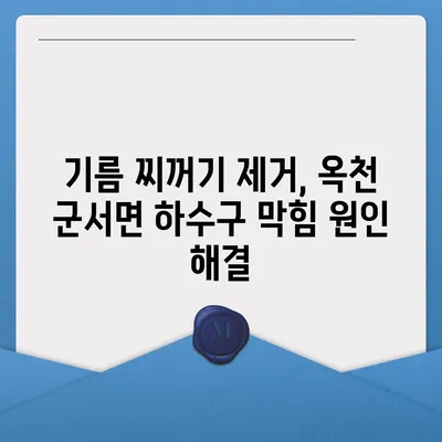 충청북도 옥천군 군서면 하수구막힘 | 가격 | 비용 | 기름제거 | 싱크대 | 변기 | 세면대 | 역류 | 냄새차단 | 2024 후기