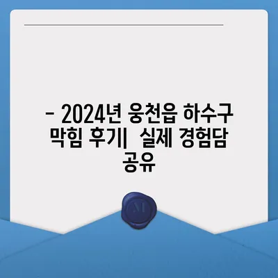 충청남도 보령시 웅천읍 하수구막힘 | 가격 | 비용 | 기름제거 | 싱크대 | 변기 | 세면대 | 역류 | 냄새차단 | 2024 후기