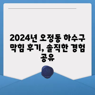 대전시 대덕구 오정동 하수구막힘 | 가격 | 비용 | 기름제거 | 싱크대 | 변기 | 세면대 | 역류 | 냄새차단 | 2024 후기