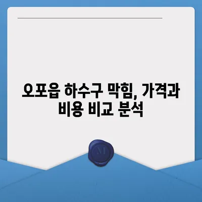 경기도 광주시 오포읍 하수구막힘 | 가격 | 비용 | 기름제거 | 싱크대 | 변기 | 세면대 | 역류 | 냄새차단 | 2024 후기