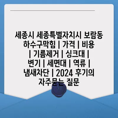 세종시 세종특별자치시 보람동 하수구막힘 | 가격 | 비용 | 기름제거 | 싱크대 | 변기 | 세면대 | 역류 | 냄새차단 | 2024 후기