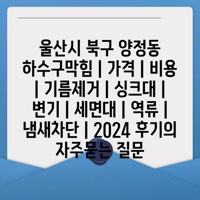 울산시 북구 양정동 하수구막힘 | 가격 | 비용 | 기름제거 | 싱크대 | 변기 | 세면대 | 역류 | 냄새차단 | 2024 후기