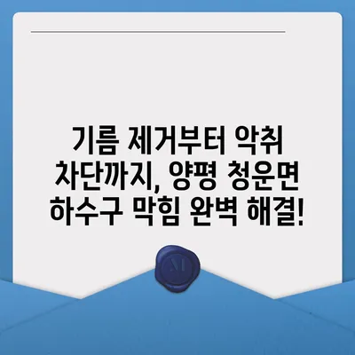 경기도 양평군 청운면 하수구막힘 | 가격 | 비용 | 기름제거 | 싱크대 | 변기 | 세면대 | 역류 | 냄새차단 | 2024 후기