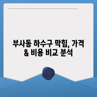 대전시 중구 부사동 하수구막힘 | 가격 | 비용 | 기름제거 | 싱크대 | 변기 | 세면대 | 역류 | 냄새차단 | 2024 후기