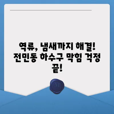 대전시 유성구 전민동 하수구막힘 | 가격 | 비용 | 기름제거 | 싱크대 | 변기 | 세면대 | 역류 | 냄새차단 | 2024 후기