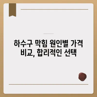 대전시 중구 오류동 하수구막힘 | 가격 | 비용 | 기름제거 | 싱크대 | 변기 | 세면대 | 역류 | 냄새차단 | 2024 후기