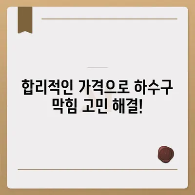 충청북도 충주시 금가면 하수구막힘 | 가격 | 비용 | 기름제거 | 싱크대 | 변기 | 세면대 | 역류 | 냄새차단 | 2024 후기