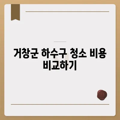 경상남도 거창군 남상면 하수구막힘 | 가격 | 비용 | 기름제거 | 싱크대 | 변기 | 세면대 | 역류 | 냄새차단 | 2024 후기