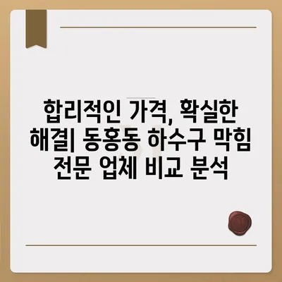 제주도 서귀포시 동홍동 하수구막힘 | 가격 | 비용 | 기름제거 | 싱크대 | 변기 | 세면대 | 역류 | 냄새차단 | 2024 후기