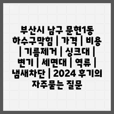 부산시 남구 문현1동 하수구막힘 | 가격 | 비용 | 기름제거 | 싱크대 | 변기 | 세면대 | 역류 | 냄새차단 | 2024 후기