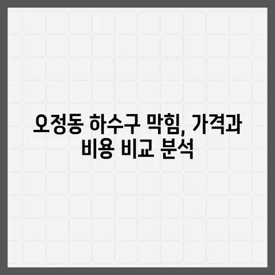 대전시 대덕구 오정동 하수구막힘 | 가격 | 비용 | 기름제거 | 싱크대 | 변기 | 세면대 | 역류 | 냄새차단 | 2024 후기