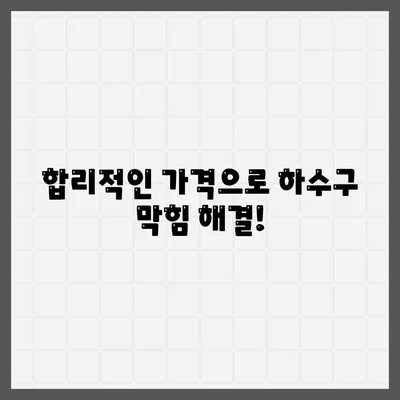 대전시 대덕구 중고동 하수구막힘 | 가격 | 비용 | 기름제거 | 싱크대 | 변기 | 세면대 | 역류 | 냄새차단 | 2024 후기