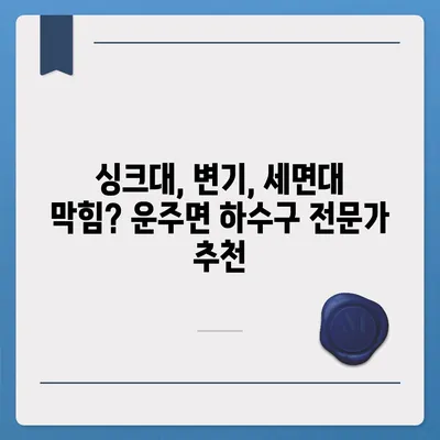 전라북도 완주군 운주면 하수구막힘 | 가격 | 비용 | 기름제거 | 싱크대 | 변기 | 세면대 | 역류 | 냄새차단 | 2024 후기