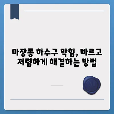 서울시 성동구 마장동 하수구막힘 | 가격 | 비용 | 기름제거 | 싱크대 | 변기 | 세면대 | 역류 | 냄새차단 | 2024 후기