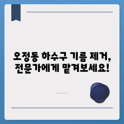 대전시 대덕구 오정동 하수구막힘 | 가격 | 비용 | 기름제거 | 싱크대 | 변기 | 세면대 | 역류 | 냄새차단 | 2024 후기