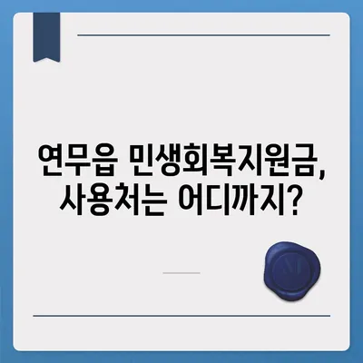 충청남도 논산시 연무읍 민생회복지원금 | 신청 | 신청방법 | 대상 | 지급일 | 사용처 | 전국민 | 이재명 | 2024